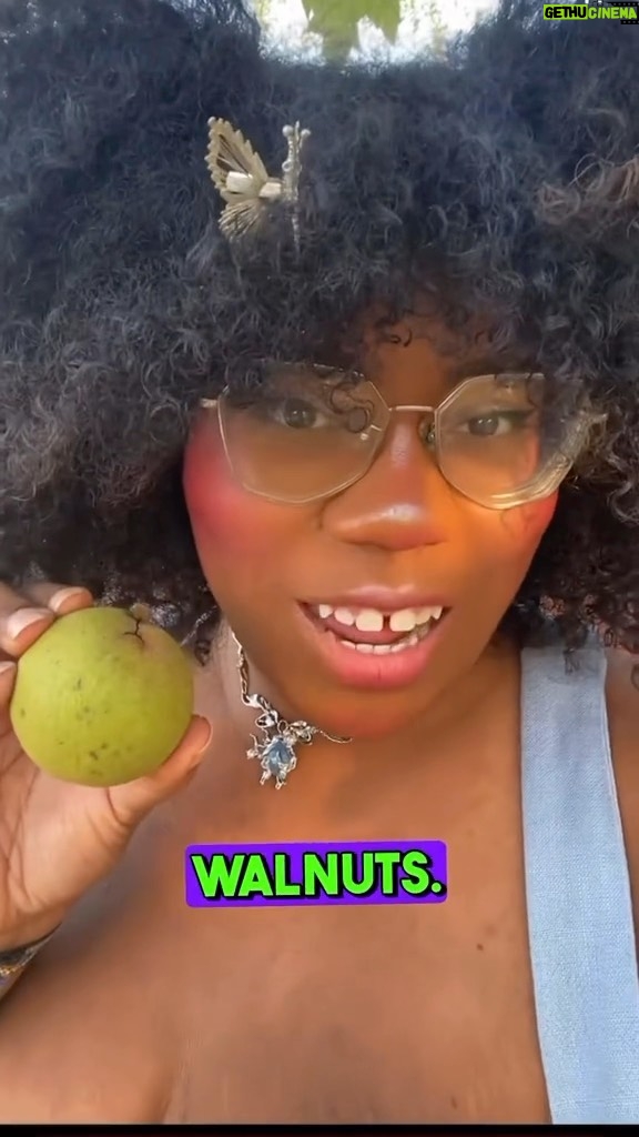 Alexis Nikole Nelson Instagram - The lazy gal’s guide to BLACK WALNUTS 🐿️ Columbus, Ohio