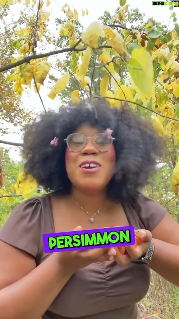 Alexis Nikole Nelson Instagram - Persimmon bread ft neighborhood pranks! 🤣 Columbus, Ohio