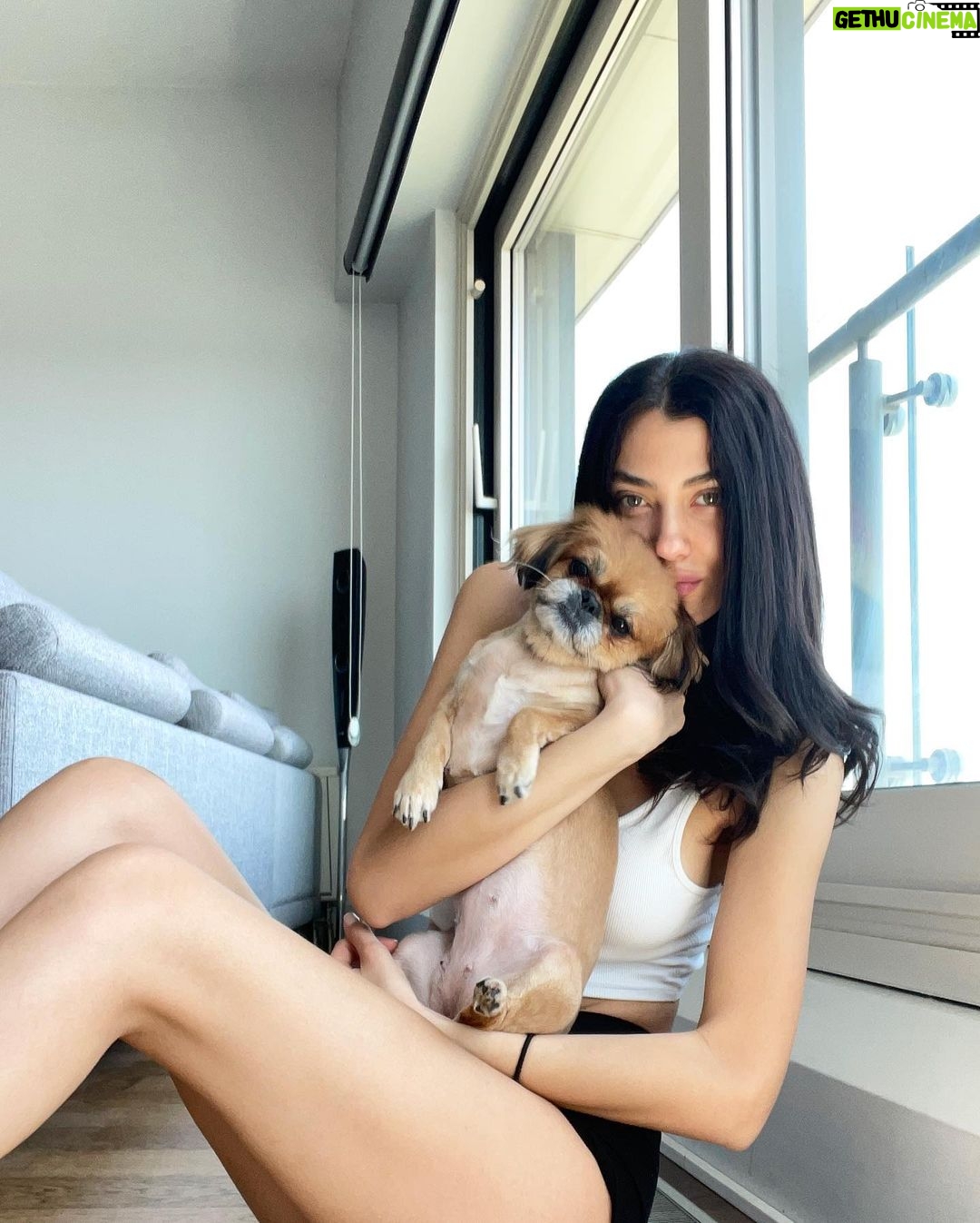 Aleyna Solaker - 177.9K Likes - Bi fotograf cekilebilir miyiz lime hanim? 🐶💜