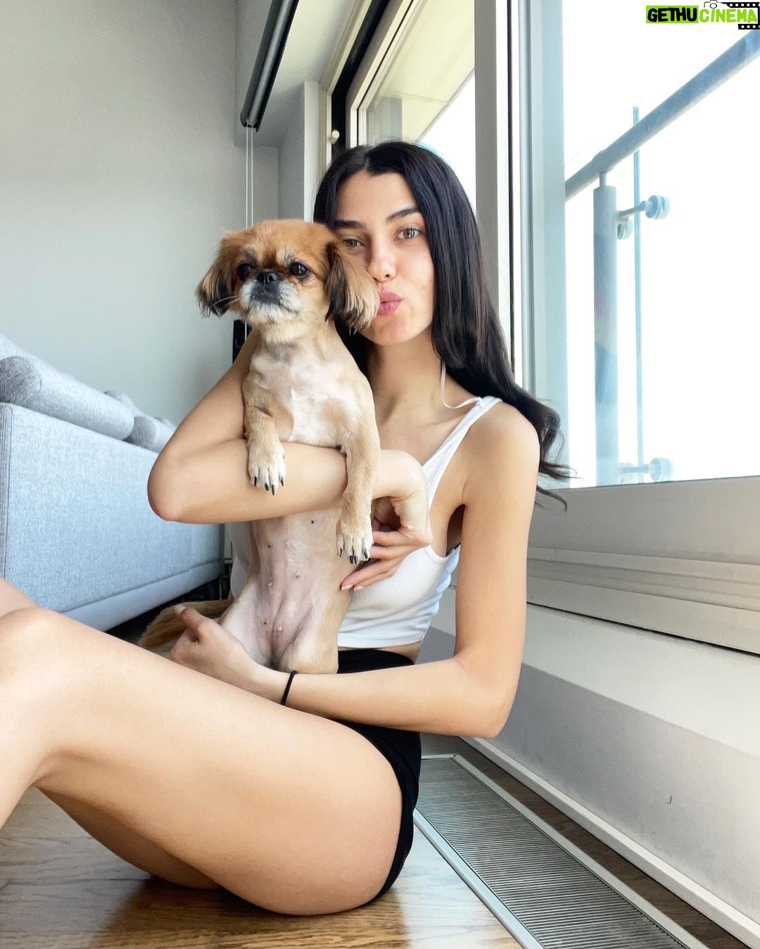 Aleyna Solaker - 177.9K Likes - Bi fotograf cekilebilir miyiz lime hanim? 🐶💜
