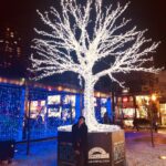 Aleyna Solaker Instagram - 2019🎄🎉 Yorkville