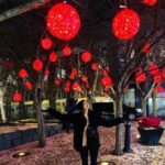 Aleyna Solaker Instagram - 🎈🎈 Yorkville