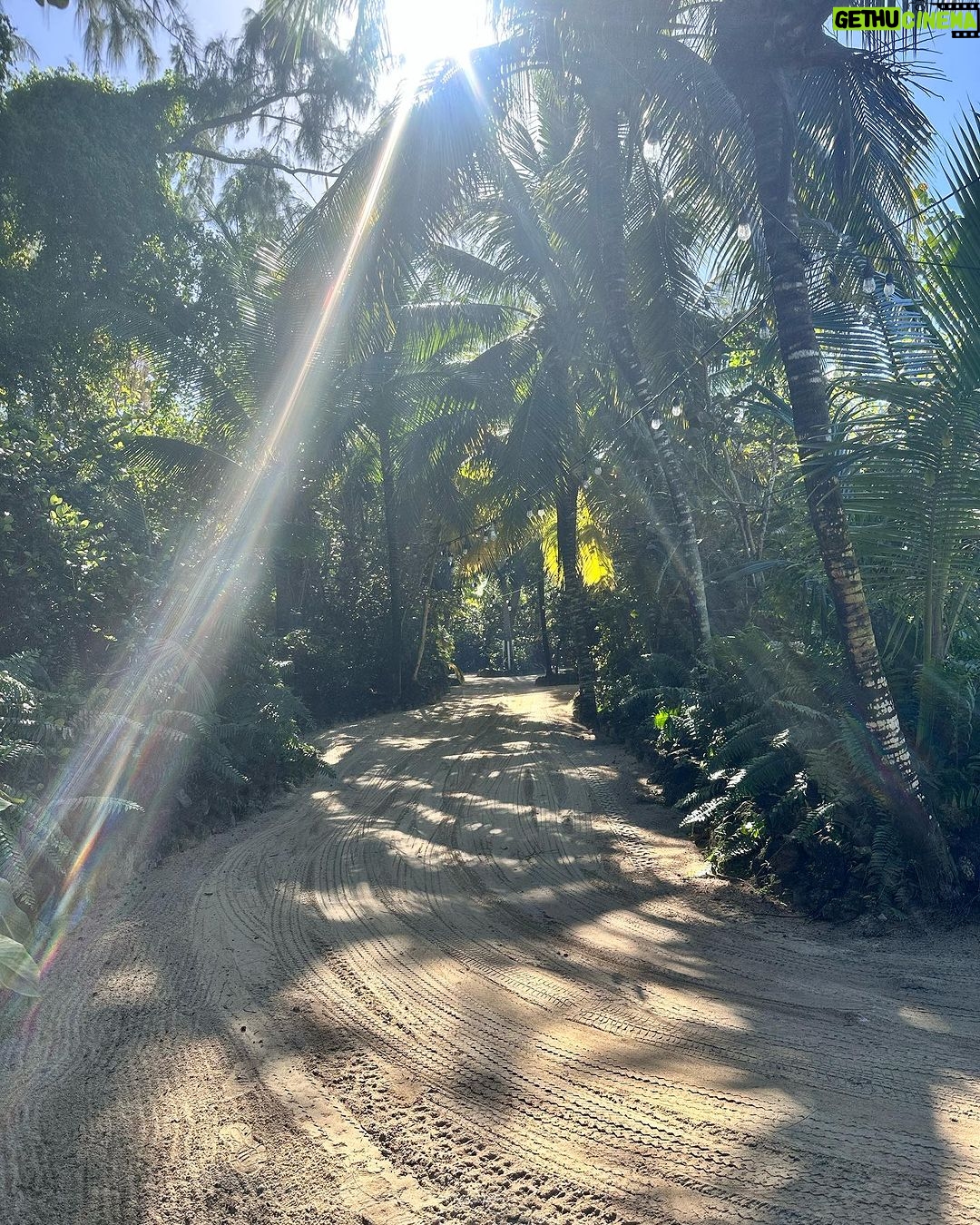 Alyssa Milano - 63.6K Likes - Thanksgiving vacation carousel. Much needed family time complete with healing sea water; rainbows, friends, theater, snuggles, love and hope.
Iβm so completely in awe of life and feel real guilt to even be able post this when there is so much pain and collective trauma in the world. Please forgive me if this post comes off as insensitive.
I continue to pray for peace and for children throughout the world to have what they need to not only surviveβ¦but to thrive.
Iβm grateful for all of you.