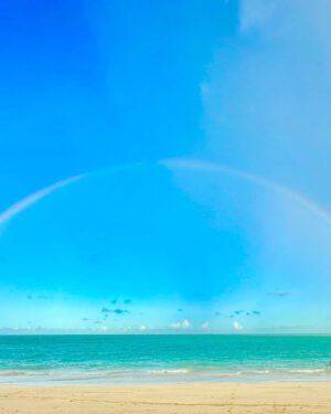 Alyssa Milano Instagram - Thanksgiving vacation carousel. Much needed family time complete with healing sea water; rainbows, friends, theater, snuggles, love and hope.

I’m so completely in awe of life and feel real guilt to even be able post this when there is so much pain and collective trauma in the world. Please forgive me if this post comes off as insensitive.

I continue to pray for peace and for children throughout the world to have what they need to not only survive…but to thrive.

I’m grateful for all of you.