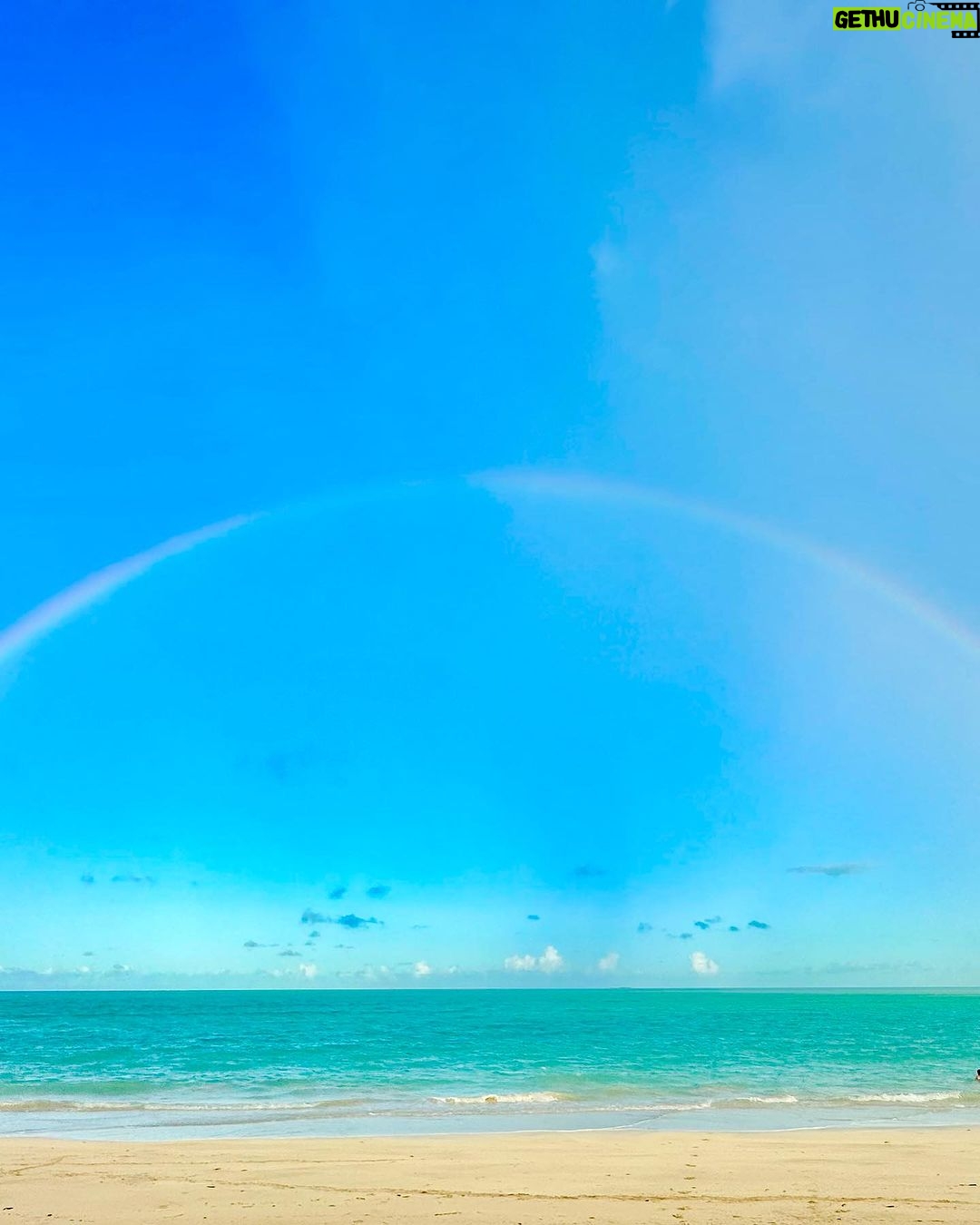 Alyssa Milano - 63.6K Likes - Thanksgiving vacation carousel. Much needed family time complete with healing sea water; rainbows, friends, theater, snuggles, love and hope.
Iβm so completely in awe of life and feel real guilt to even be able post this when there is so much pain and collective trauma in the world. Please forgive me if this post comes off as insensitive.
I continue to pray for peace and for children throughout the world to have what they need to not only surviveβ¦but to thrive.
Iβm grateful for all of you.