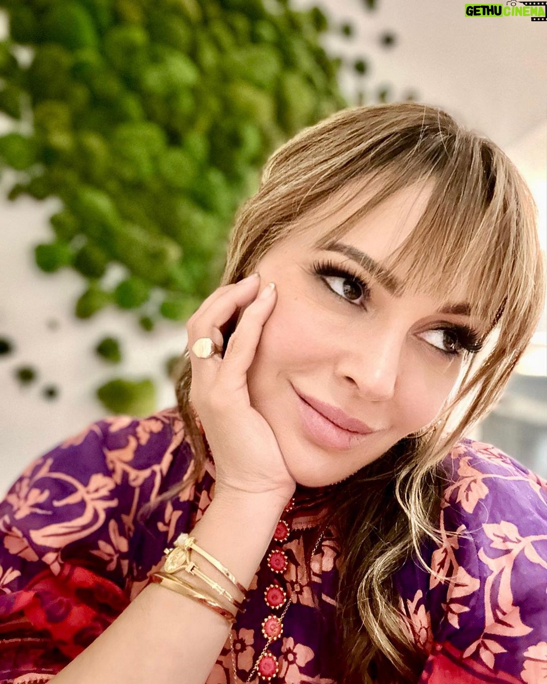 Alyssa Milano Instagram - Credits for the Alice Paul Institute Champion Award Ceremony: Dress: @zimmermann Shoes and belt: @Gucci Jewelry: @aweinspired Styling: @theclosetfiles Hair: @stylemakerkim Make up: me using @iliabeauty @ilmakiage @lancomeofficial @loveseen Face products: @correctiveskin Treatment: TriLift by @lumenis.aesthetics Location: @hotelzena Hotel Zena