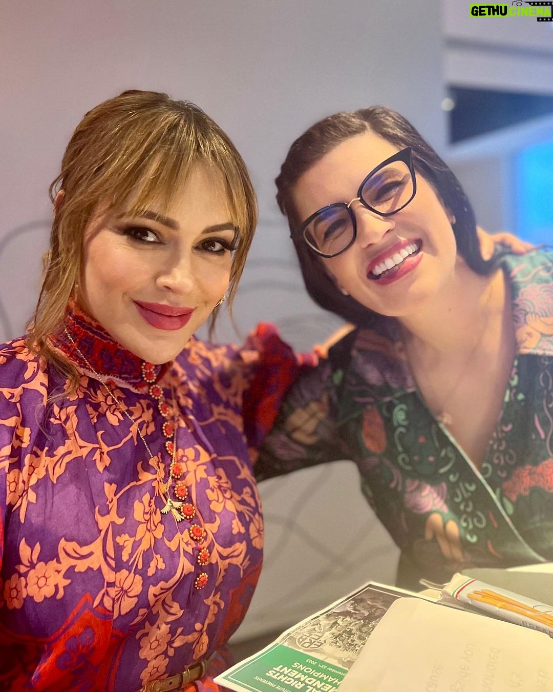 Alyssa Milano Instagram - Many thanks to the @alicepaulinstitute for presenting me with this beautiful award for my work on trying to get the ERA published in the constitution. Sending an abundance of appreciation to the women who came before me and an abundance of love for @kate_kelly_esq, @generationratify @eracoalition @coribush @ayannapressley for doing the heavy lifting. And to all of the wonderful women (and the few men) who came to support the API and the evening in general—I appreciate you and the way you fight for “ordinary equality”. And thank you to @dadofthedecade and @alecledd for being my support humans. I love you both. (The most.) Beauty credits in next post. Hotel Zena