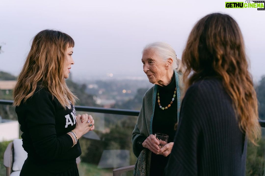 Alyssa Milano Instagram - “Only if we understand, can we care. Only if we care, we will help. Only if we help, we shall be saved.” -Jane Goodall I had the opportunity to spend the evening with Jane Goodall—a hero of mine—celebrating her 90th Birthday. She is everything. I felt a wave of emotion crash over me when I saw her. She said, “I feel bad that I make people cry.” I said, “Don’t feel bad. You change people on a cellular level.” Jane looked at me dead in the eye and replied, “Please don’t call it cellular. It makes it sound too scientific. Call it ‘spiritual’.” Indeed, Dr. Goodall. You affect me, and so many others, on a spiritual level. And to be able to share this experience with my bestie from highschool—made it all the more sweet.
