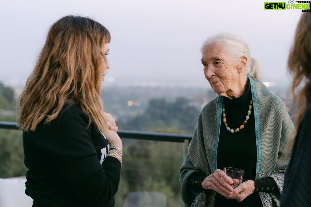 Alyssa Milano Instagram - “Only if we understand, can we care. Only if we care, we will help. Only if we help, we shall be saved.” -Jane Goodall I had the opportunity to spend the evening with Jane Goodall—a hero of mine—celebrating her 90th Birthday. She is everything. I felt a wave of emotion crash over me when I saw her. She said, “I feel bad that I make people cry.” I said, “Don’t feel bad. You change people on a cellular level.” Jane looked at me dead in the eye and replied, “Please don’t call it cellular. It makes it sound too scientific. Call it ‘spiritual’.” Indeed, Dr. Goodall. You affect me, and so many others, on a spiritual level. And to be able to share this experience with my bestie from highschool—made it all the more sweet.