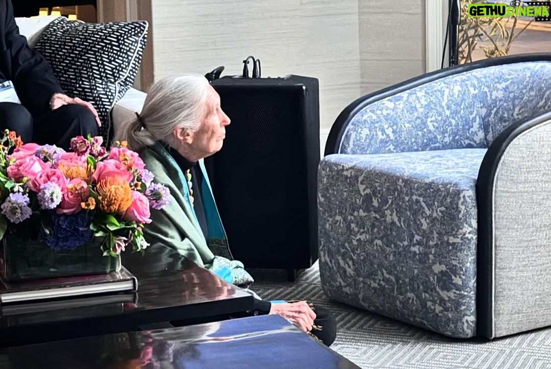 Alyssa Milano Instagram - “Only if we understand, can we care. Only if we care, we will help. Only if we help, we shall be saved.” -Jane Goodall I had the opportunity to spend the evening with Jane Goodall—a hero of mine—celebrating her 90th Birthday. She is everything. I felt a wave of emotion crash over me when I saw her. She said, “I feel bad that I make people cry.” I said, “Don’t feel bad. You change people on a cellular level.” Jane looked at me dead in the eye and replied, “Please don’t call it cellular. It makes it sound too scientific. Call it ‘spiritual’.” Indeed, Dr. Goodall. You affect me, and so many others, on a spiritual level. And to be able to share this experience with my bestie from highschool—made it all the more sweet.