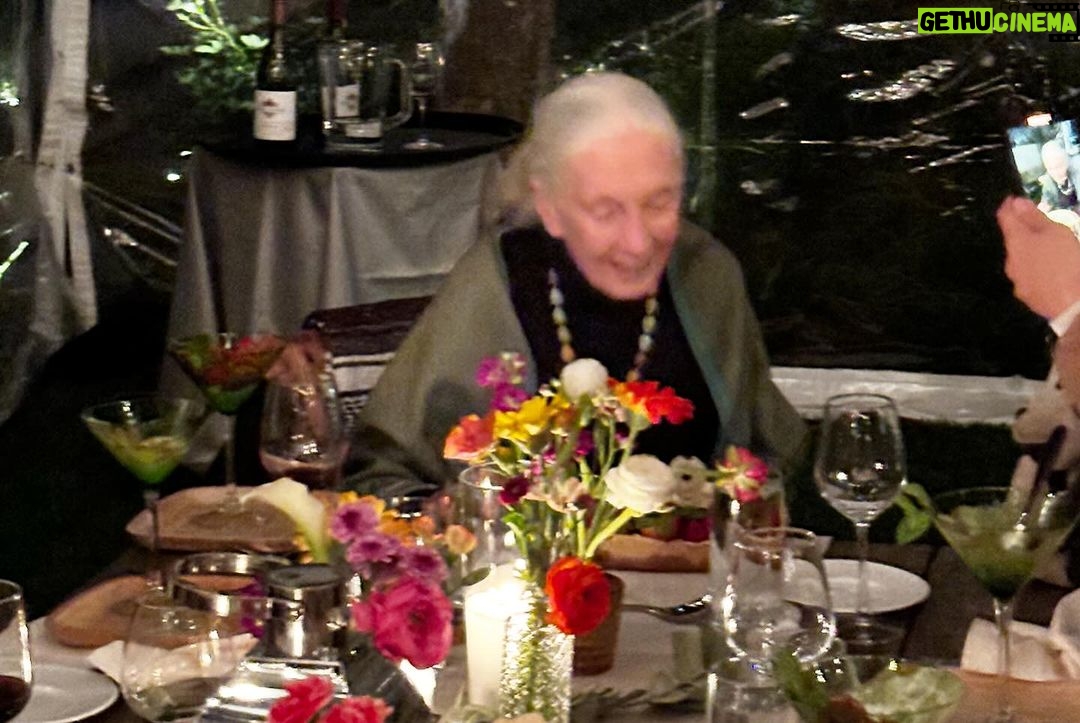 Alyssa Milano Instagram - “Only if we understand, can we care. Only if we care, we will help. Only if we help, we shall be saved.” -Jane Goodall I had the opportunity to spend the evening with Jane Goodall—a hero of mine—celebrating her 90th Birthday. She is everything. I felt a wave of emotion crash over me when I saw her. She said, “I feel bad that I make people cry.” I said, “Don’t feel bad. You change people on a cellular level.” Jane looked at me dead in the eye and replied, “Please don’t call it cellular. It makes it sound too scientific. Call it ‘spiritual’.” Indeed, Dr. Goodall. You affect me, and so many others, on a spiritual level. And to be able to share this experience with my bestie from highschool—made it all the more sweet.