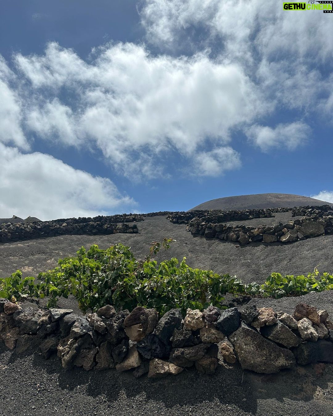 Anabel Pantoja Instagram - LANZAROTE Y AMIGOS 🇮🇨🥹❤️🩹 Lanzarote
