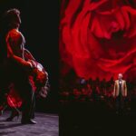 Andrea Bocelli Instagram - November 24th, #Kaunas, Zalgirio Arena 🇱🇹 photo: @lucarossettiph