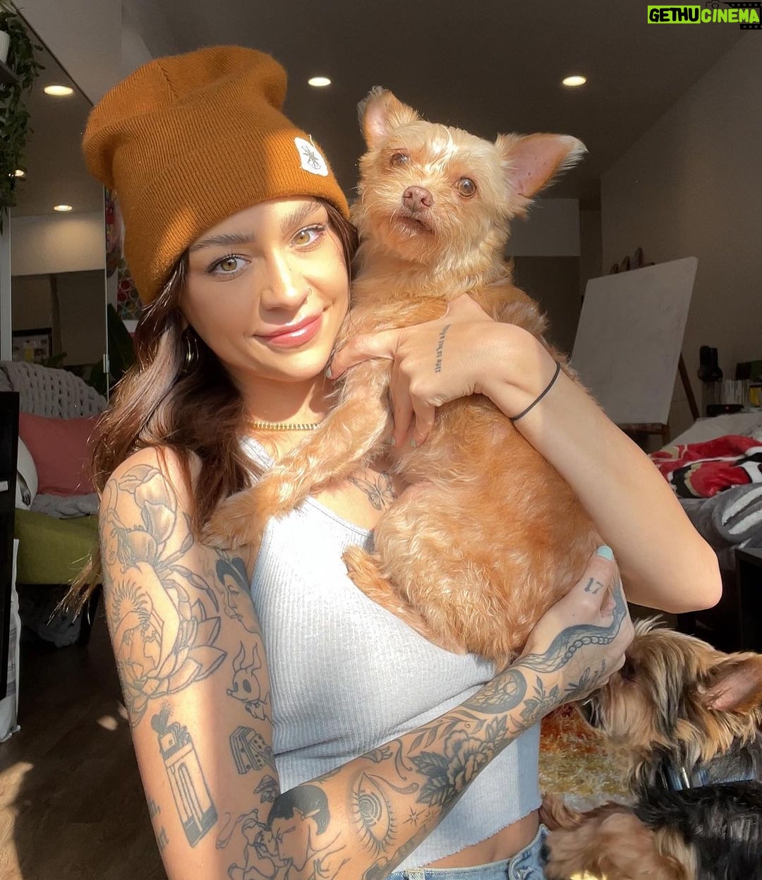 Andrea Russett Instagram - bitch i’m a mutha! MEET TEDDY 🥹🫶🏼 he’s so strange. he’s so perfect. Los Angeles, California