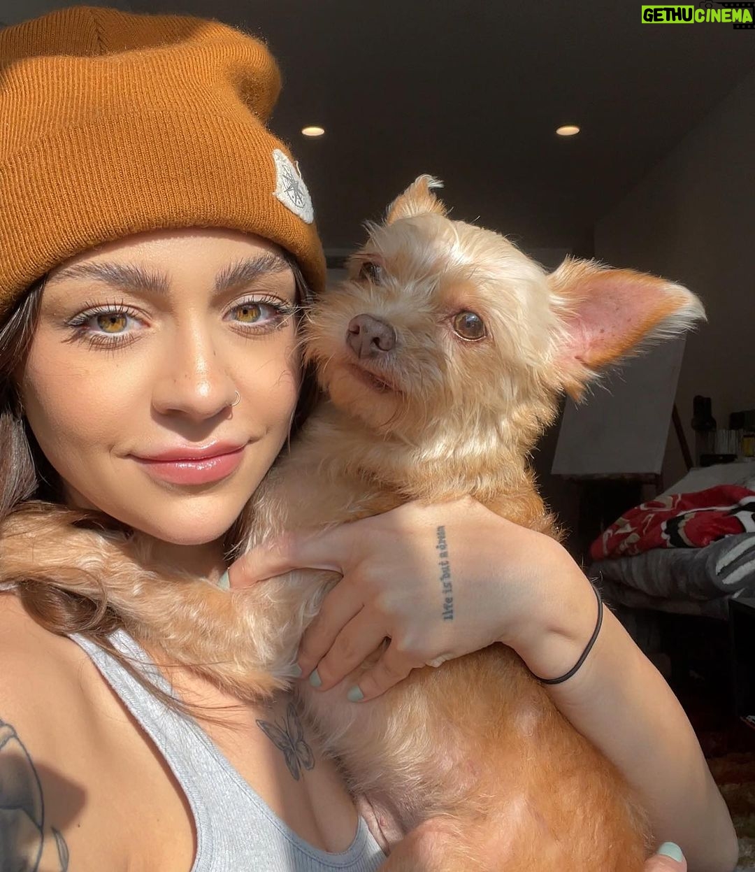 Andrea Russett Instagram - bitch i’m a mutha! MEET TEDDY 🥹🫶🏼 he’s so strange. he’s so perfect. Los Angeles, California