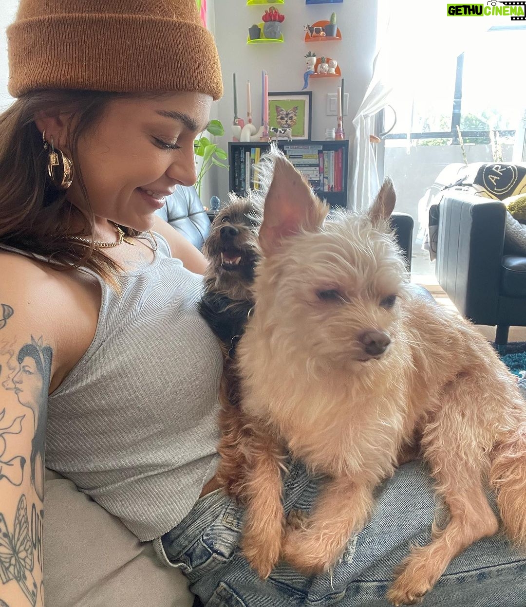 Andrea Russett Instagram - bitch i’m a mutha! MEET TEDDY 🥹🫶🏼 he’s so strange. he’s so perfect. Los Angeles, California