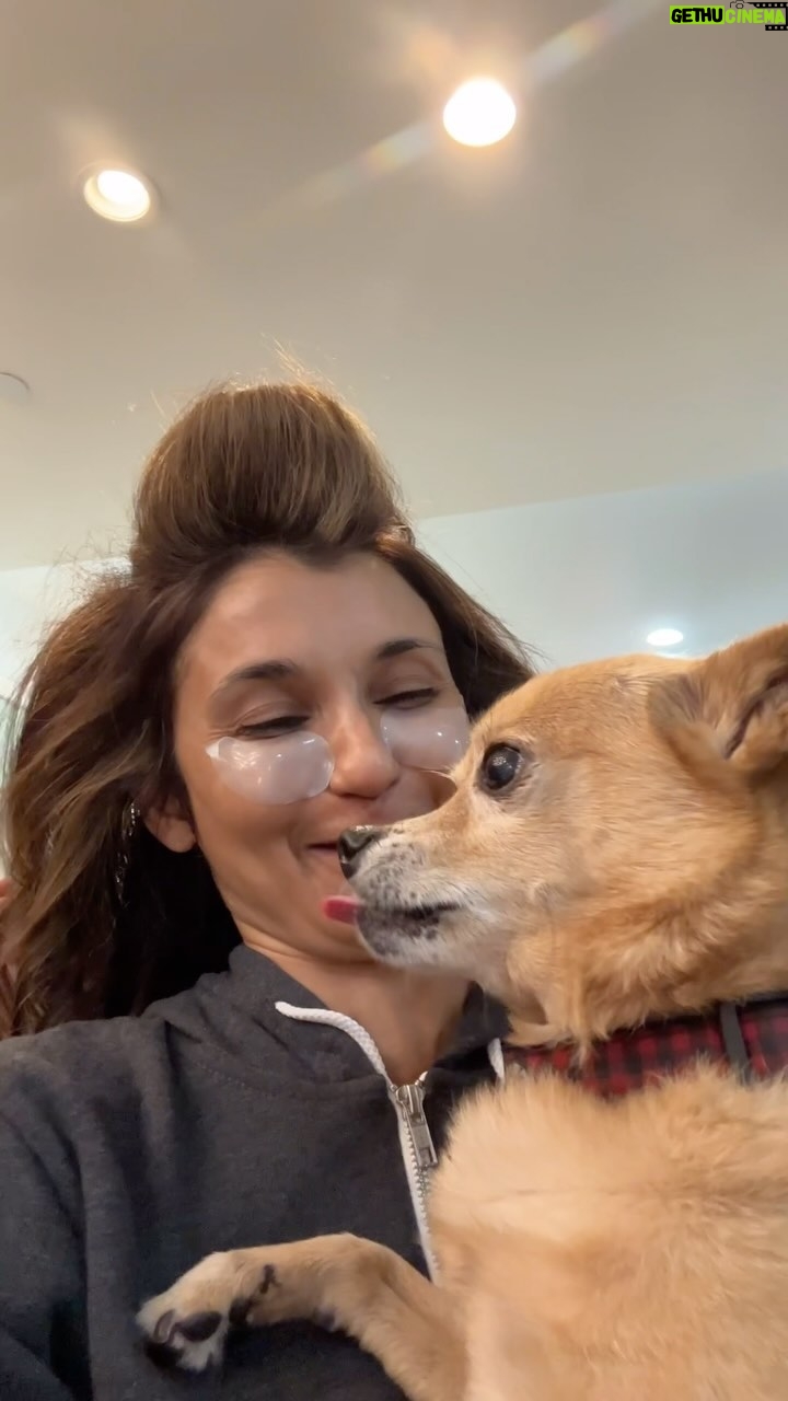Anjali Bhimani Instagram - Time to honor the most important member of the glam team - he always makes sure I leave the house wearing an ethically sourced fur coat (handmade by him) and with a well exfoliated face and inner nose. @charleythebestdog #rescuepup #charleydog #charleythebestdog #rescuedogsofinstagram #dogmomaf #anjalibhimani Los Angeles, California
