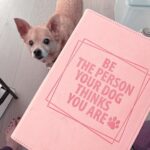 Anjali Bhimani Instagram - Just a reminder that you can aspire to greatness today. @charleythebestdog and I believe in you. . . . . . . . . #rescuepets #charleythebestdog #inspiration #sundayinspiration #iamfunsize Los Angeles, California