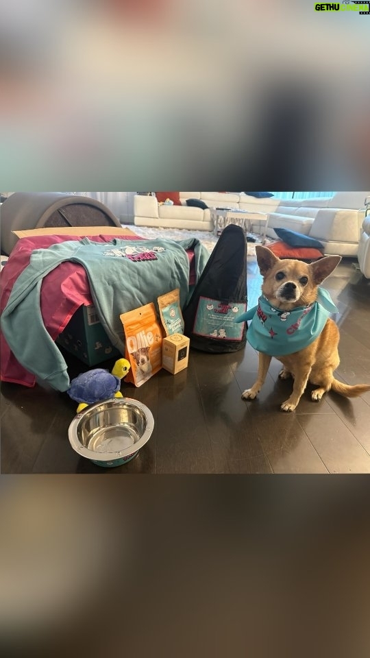 Anjali Bhimani Instagram - We were already gearing up for the Puppy Bowl this weekend, but then @charleythebestdog got even MORE excited because #StupidPetTricks with @sarahkatesilverman (one of our house’s favorite ladies) based on the iconic segment on @letterman (also one of our house’s fave people) is ALSO airing tomorrow on @tbsnetwork ! Naturally Charley had to show off his ADORABLE pet trick before opening the box, but we can’t wait to play with everything in there AND watch the show! (PS there is MORE magic coming because of some other itesm in the box…but you’ll have to stay tuned to see…and watch the show on TBS!!!) #rescuedog #dogmomAF #charleythebestdog #dogsofinstagram #dogmom #anjalibhimani #gifted Los Angeles, California