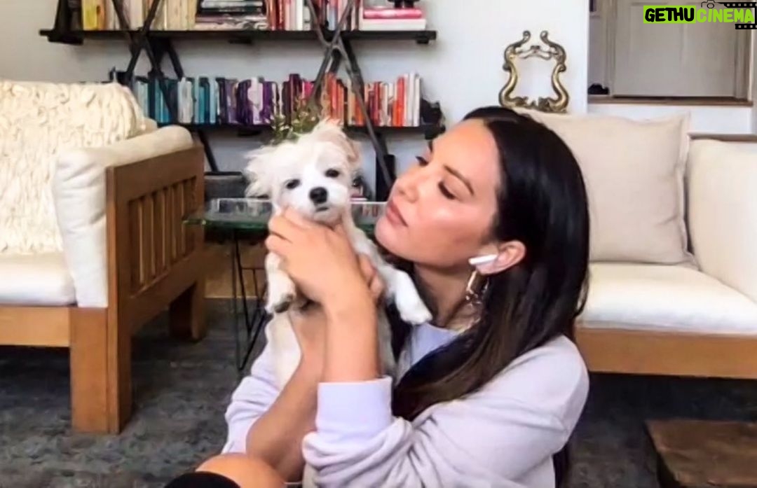 Anna Faris Instagram - Today on @unqualified I learned that @oliviamunn is a black belt in Taekwondo. How cool is that?