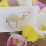 Annie Murphy Instagram - You had me at “wanna”.