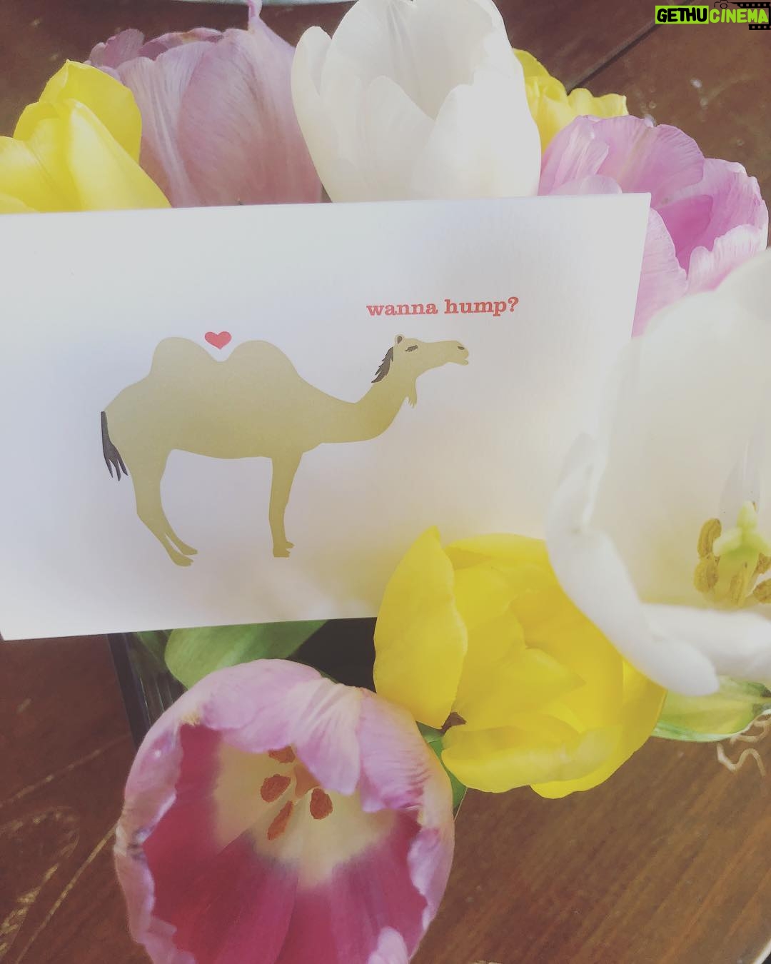 Annie Murphy Instagram - You had me at “wanna”.
