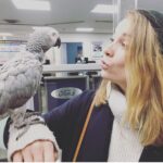 Annie Murphy Instagram - Went for the winter tires, stayed for the parrot who sang Sir Mix-a-Lot.
