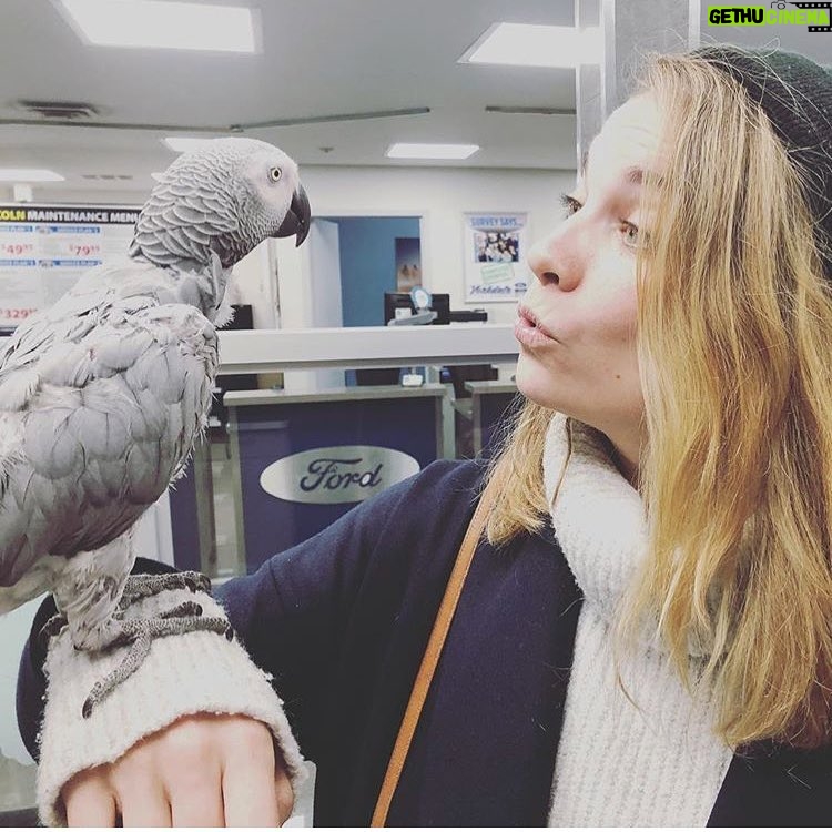 Annie Murphy Instagram - Went for the winter tires, stayed for the parrot who sang Sir Mix-a-Lot.