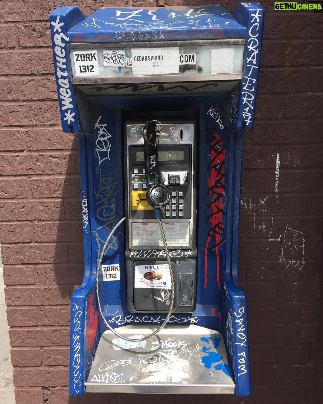 Annie Murphy Instagram - *ring ring* "Yes, hello?" *head falls off* Kensington Market