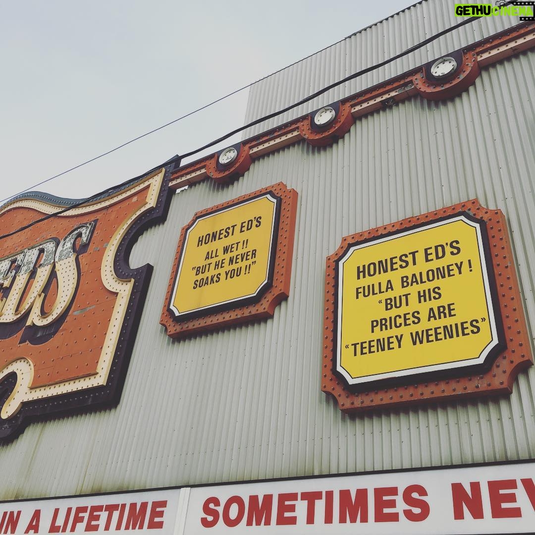 Annie Murphy Instagram - I let this really sink in the other day. The sad nostalgia, but also the raving, raving lunacy. #rip Honest Ed's