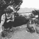Annie Murphy Instagram - I thought this would be the best moment of my day (life), but then a monkey went ahead and proceeded to furiously masturbate next to @mennovers and so that. That won. Iwatayama Monkey Park