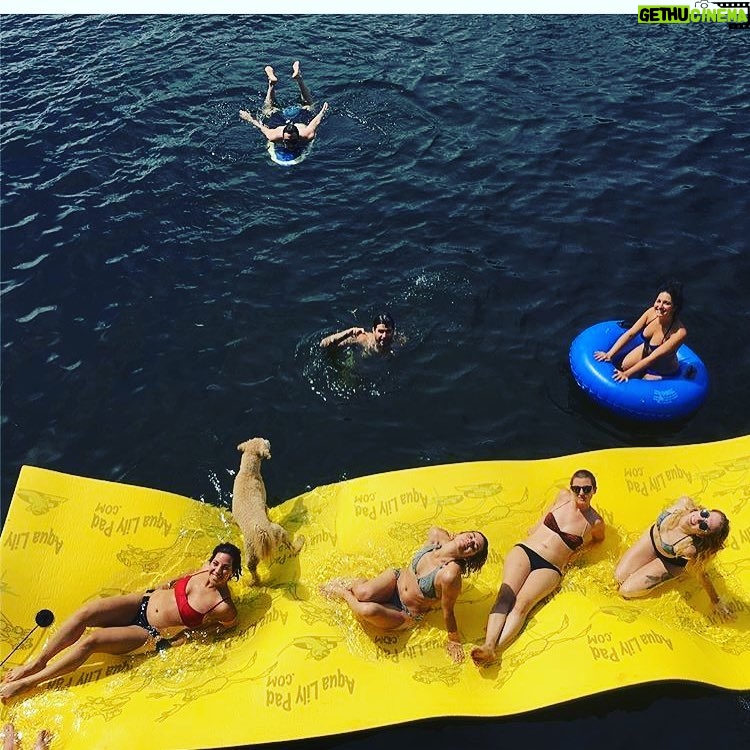 Annie Murphy Instagram - And then we ate hot dogs, and then we went swimming, and then we drank beer, and then we ate spaghetti, and then we drank tequila, and then the dog jumped on someone's head, and then we went tubing and then we played salad bowl.