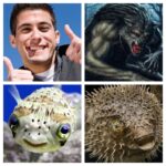 Annie Murphy Instagram - Some visual aid just to really hit the humour home. Really think this thing has Ellen-virality written all over it. The joke: Blowfish - the werewolves of the sea. (!!!!!!!!!!!!!!)