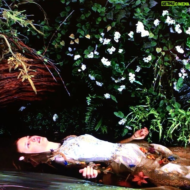 Annie Murphy Instagram - "Yes, I'd like that beautiful painting of Ophelia, except can you make it alive? Yes, the corpsier the better. Oooh yes, the occasional horrific blink would be charming!"