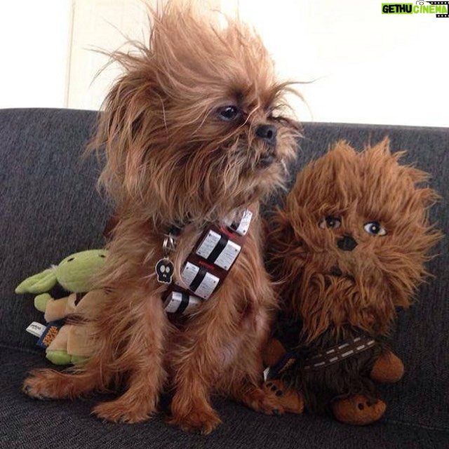 Annie Murphy Instagram - How do I get me one of these?