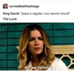 Annie Murphy Instagram - Hallelujah for cornedbeefhashtags, and also just for corned beef.