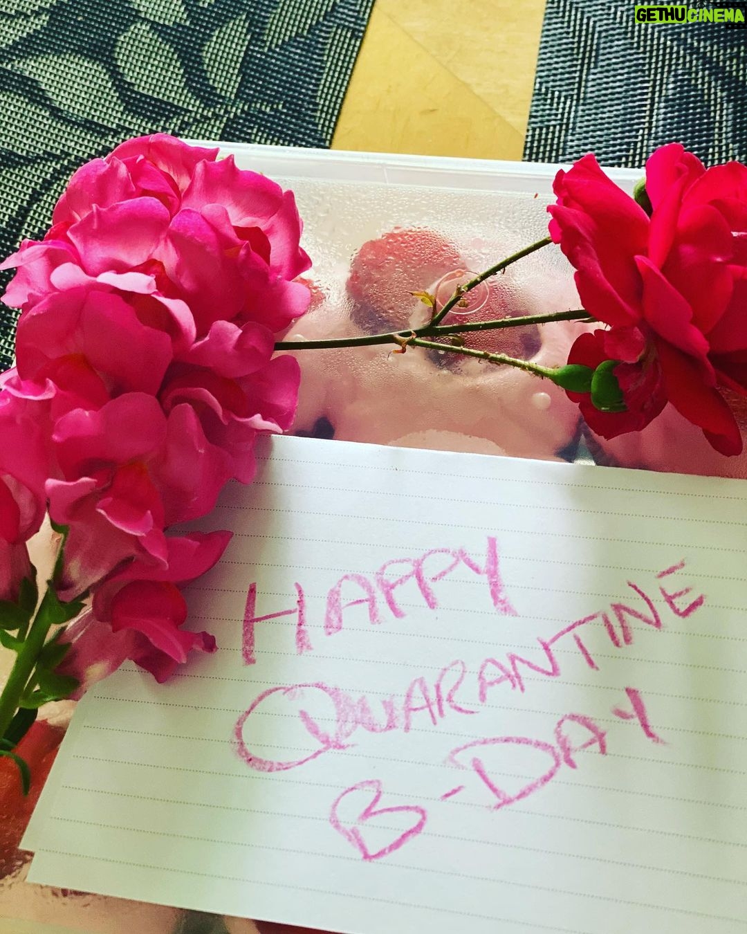 Armeena Khan Instagram - Thank you @minahil.maneka for the beautiful home-made cupcakes. I can’t believe I can’t see you 😔. It truly is a quarantine B’day. Thank you to everyone for the lovely messages and calls 🙏🏻❤️❤️❤️ #yesitsmybirthday 😍