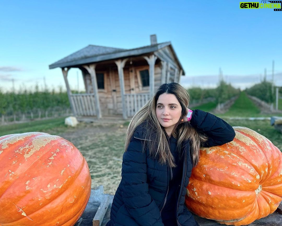 Armeena Khan Instagram - Beat the alogos, so hereβs me with some gigantic pumpkins but apple picking really. π¨π¦π¨π¦π