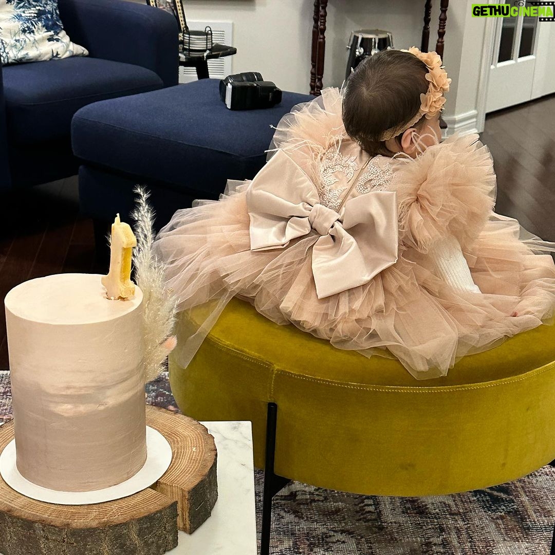 Armeena Khan Instagram - Baby’s first advance birthday, part 1. Part 2 tomorrow. My little fluff ball. 🥺🥺❤️❤️