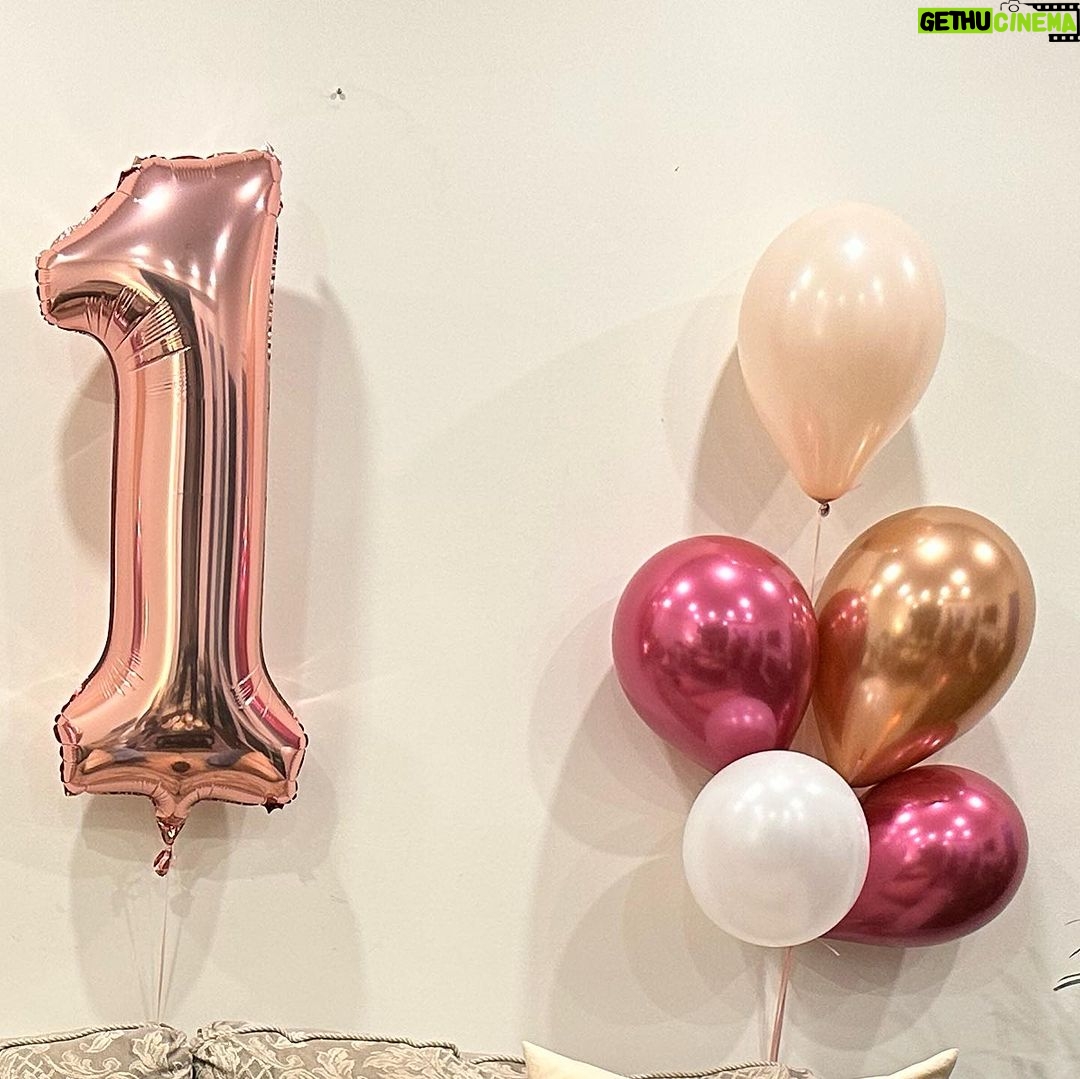 Armeena Khan Instagram - Baby’s first advance birthday, part 1. Part 2 tomorrow. My little fluff ball. 🥺🥺❤️❤️