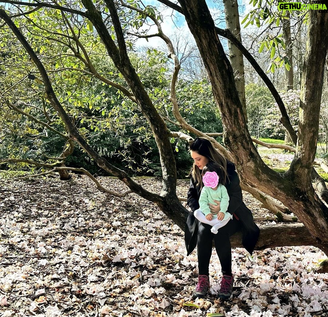 Armeena Khan Instagram - Flower baby 🌸🌸🌸🌺🌸🌸🌸 #grateful #spring #flowers