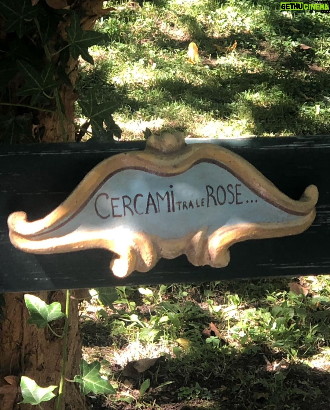 Arwa Gouda Instagram - Cercami tra le rose ♥️ 🌹 صباح الورد ♥️🌹💋 Swipe left ☺️ ⬅️ #jewelry @saedigram #photography @mahyarqajar #location @cortedellamaesta_italy Civita di Bagnoregio