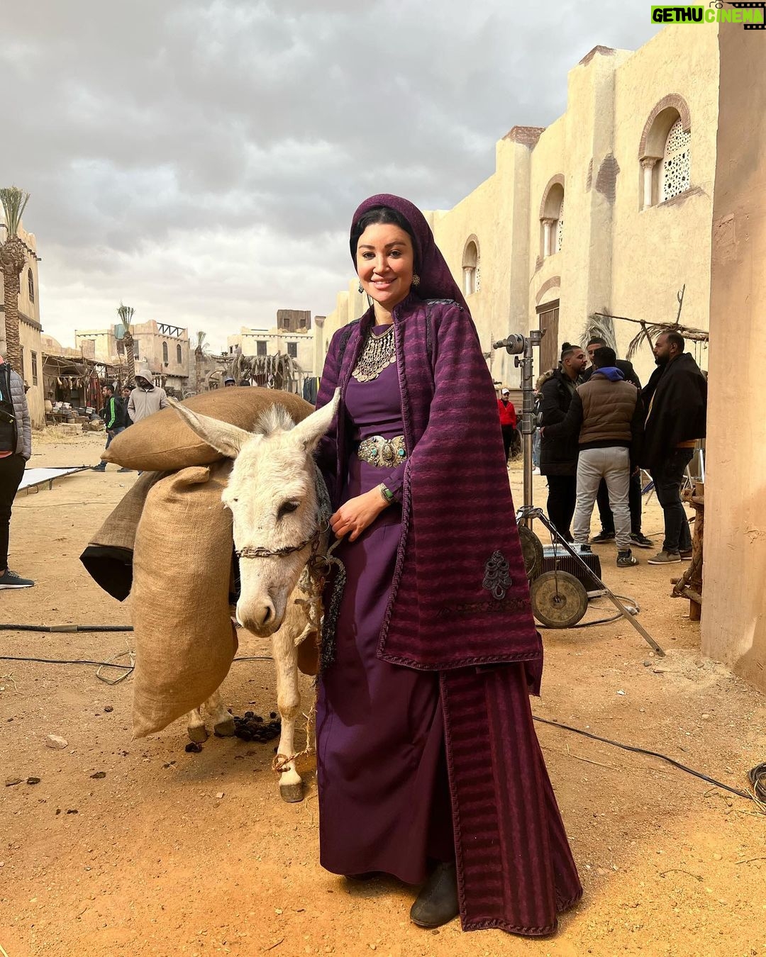 Arwa Gouda Instagram - #حُسن بتعمل فيتينج #حُسن في القناطر #حُسن مع الدونكي #حُسن بتاخد سيلفي #حُسن حاطة دماغها في التكييف من كتر الحر #حُسن بتتصور و عاملة نافسها مش واخدة بالها 😂😂 القناطر الخيرية