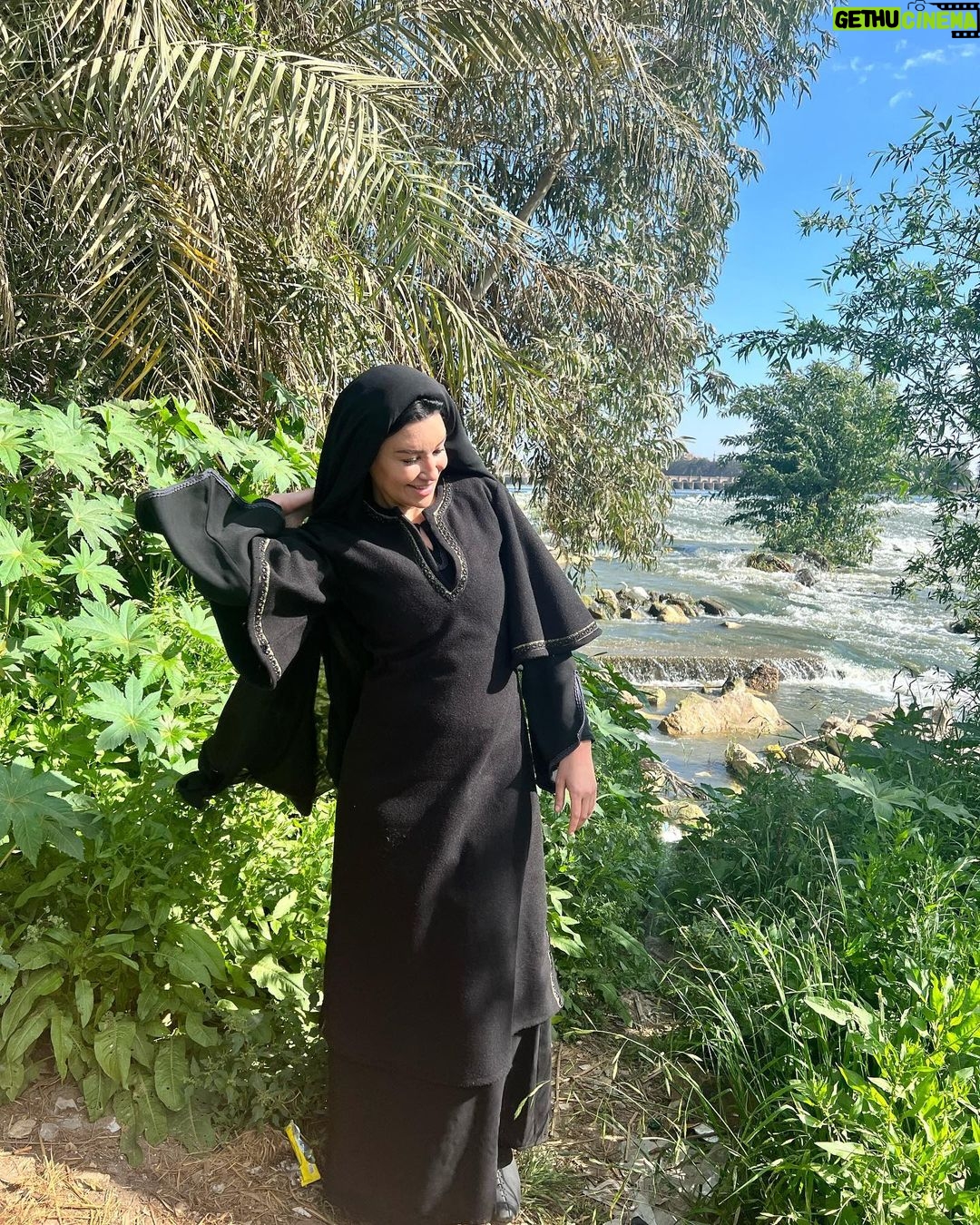 Arwa Gouda Instagram - #حُسن بتعمل فيتينج #حُسن في القناطر #حُسن مع الدونكي #حُسن بتاخد سيلفي #حُسن حاطة دماغها في التكييف من كتر الحر #حُسن بتتصور و عاملة نافسها مش واخدة بالها 😂😂 القناطر الخيرية