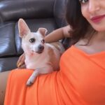 Ashu Reddy Instagram - RajuGadu❤️❤️ #adoptpleasedontshop #lovemorepets #unconditional #petsarefamily #ashureddy @operationkindness I'm thankful to you guys always!!