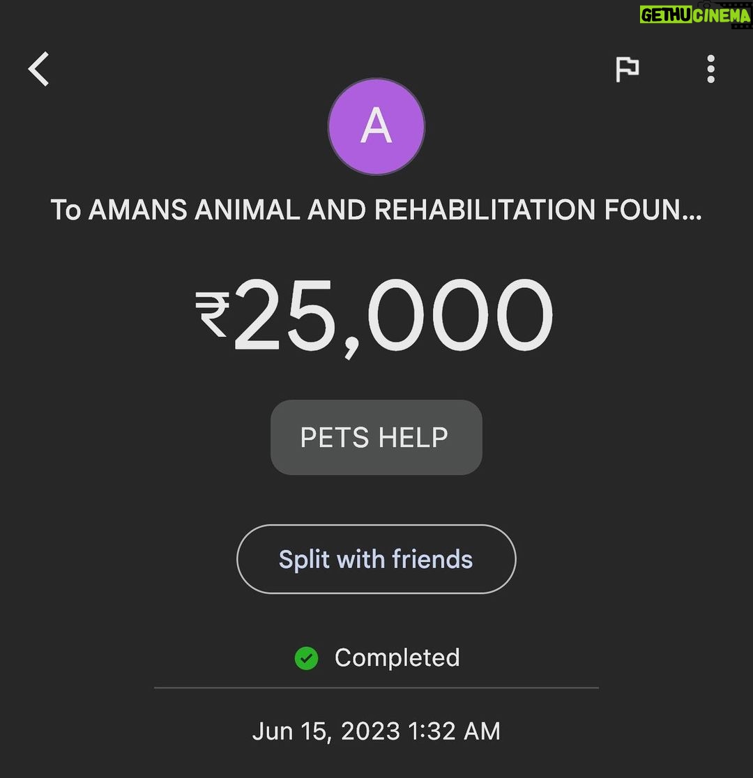 Ashu Reddy Instagram - Let's be the voice for the voiceless, I have done my part, please donate to help these pets to get better health and find their forever homes!! If we can't do it, who will do it for them? PLEASE ππ» #ashureddy #kindnessmatters #letshelp #petsarefamily @aarf_official we are with you always!! ππ«Άπ»β€οΈ #pleasedonateasmuchasyoucan β£οΈ
