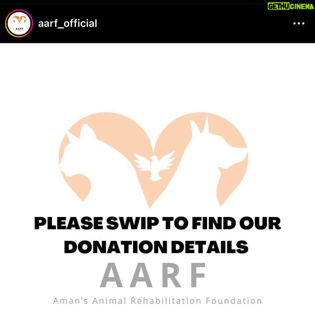 Ashu Reddy Instagram - Let's be the voice for the voiceless, I have done my part, please donate to help these pets to get better health and find their forever homes!! If we can't do it, who will do it for them? PLEASE ππ» #ashureddy #kindnessmatters #letshelp #petsarefamily @aarf_official we are with you always!! ππ«Άπ»β€οΈ #pleasedonateasmuchasyoucan β£οΈ