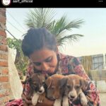 Ashu Reddy Instagram – Let’s be the voice for the voiceless, I have done my part, please donate to help these pets to get better health and find their forever homes!! If we can’t do it, who will do it for them? PLEASE 🙏🏻 #ashureddy #kindnessmatters #letshelp #petsarefamily @aarf_official we are with you always!! 😊🫶🏻❤️ #pleasedonateasmuchasyoucan ❣️
