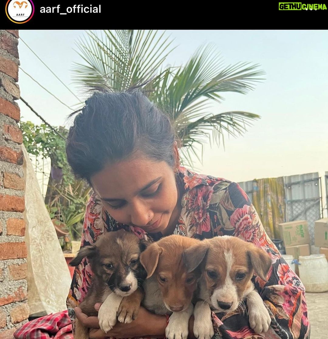 Ashu Reddy Instagram - Let's be the voice for the voiceless, I have done my part, please donate to help these pets to get better health and find their forever homes!! If we can't do it, who will do it for them? PLEASE ππ» #ashureddy #kindnessmatters #letshelp #petsarefamily @aarf_official we are with you always!! ππ«Άπ»β€οΈ #pleasedonateasmuchasyoucan β£οΈ