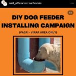 Ashu Reddy Instagram – Let’s be the voice for the voiceless, I have done my part, please donate to help these pets to get better health and find their forever homes!! If we can’t do it, who will do it for them? PLEASE 🙏🏻 #ashureddy #kindnessmatters #letshelp #petsarefamily @aarf_official we are with you always!! 😊🫶🏻❤️ #pleasedonateasmuchasyoucan ❣️